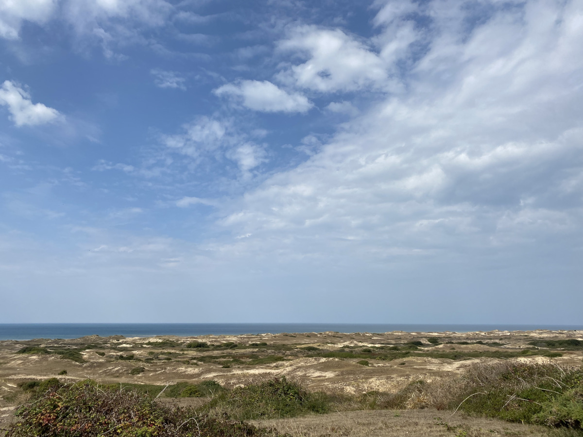 dunes et mer