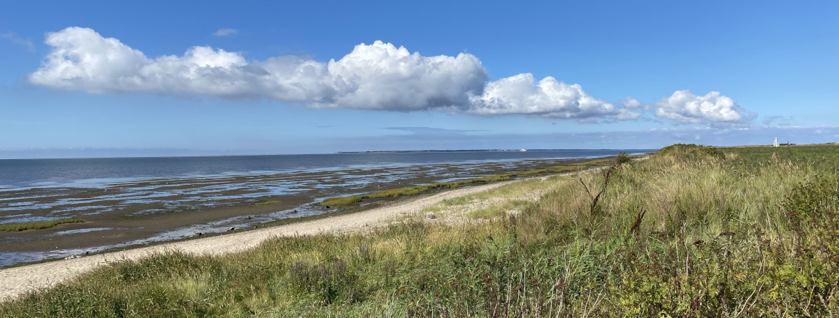 plage sauvage