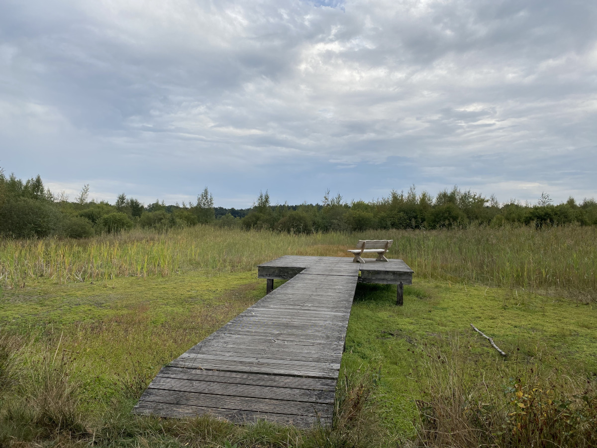 passerelle en bois avec un banc au bout 