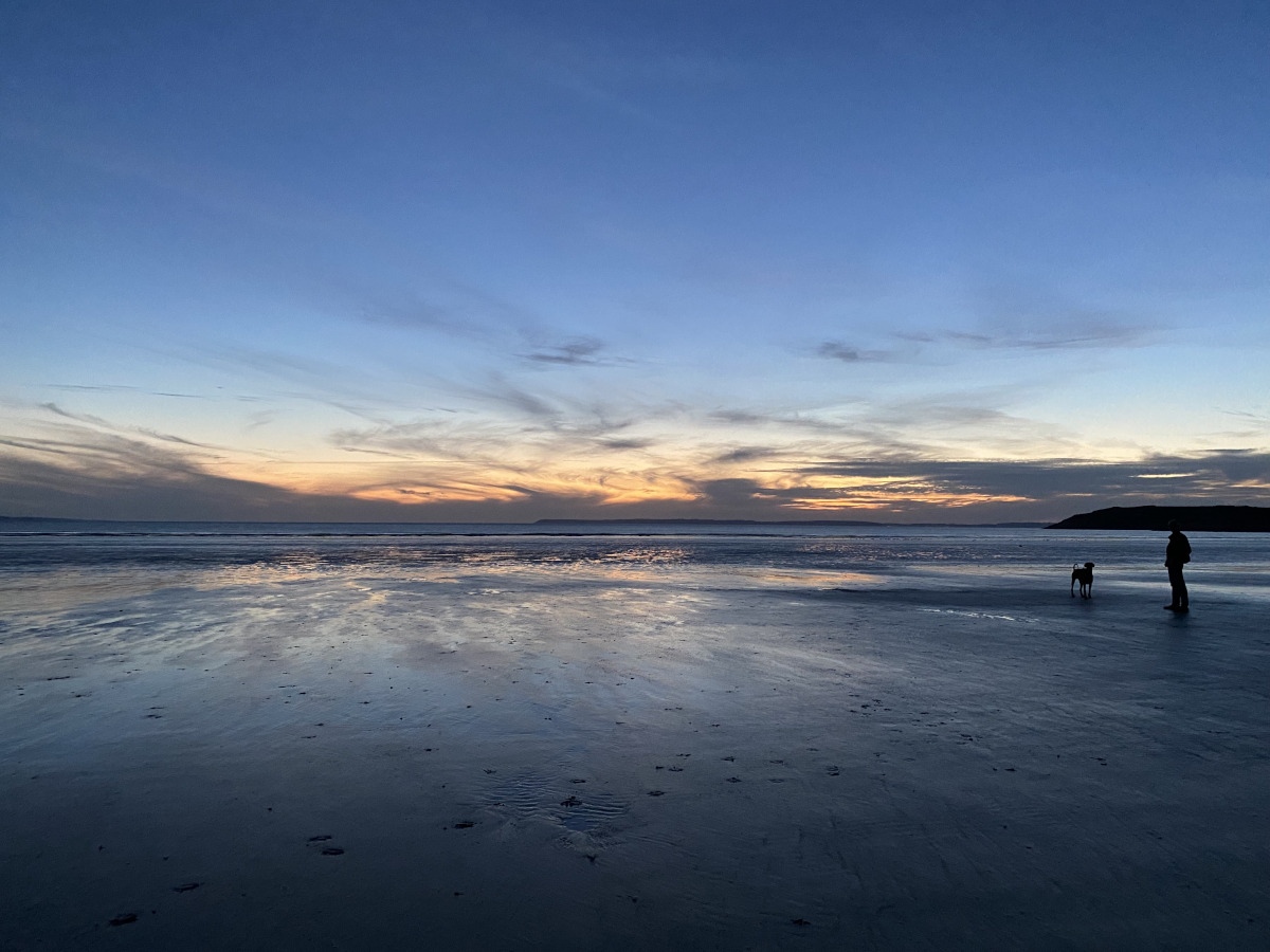 homme et chien à la plage le soir 