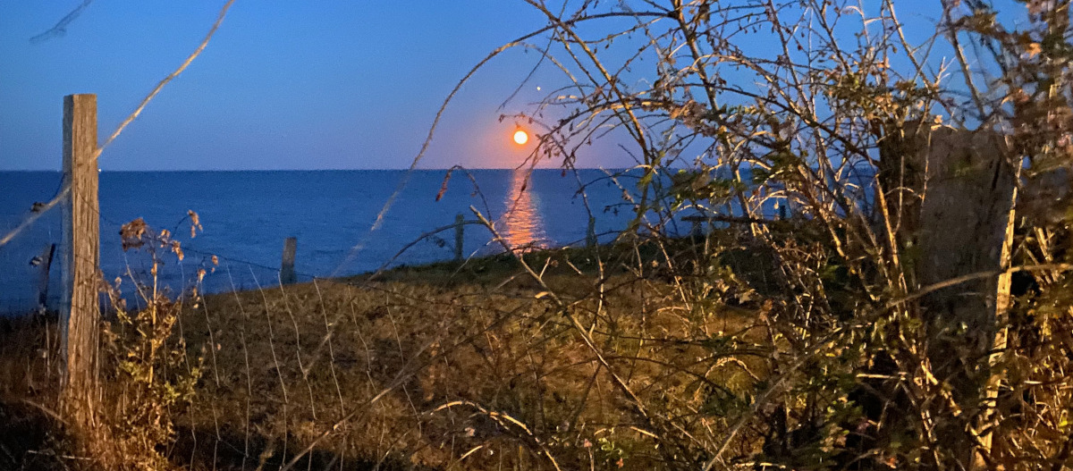 soleil couchant sur la mer